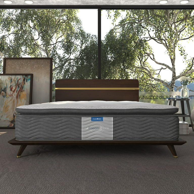 Colchón Individual Dom + 2 Almohadas + Complemento.