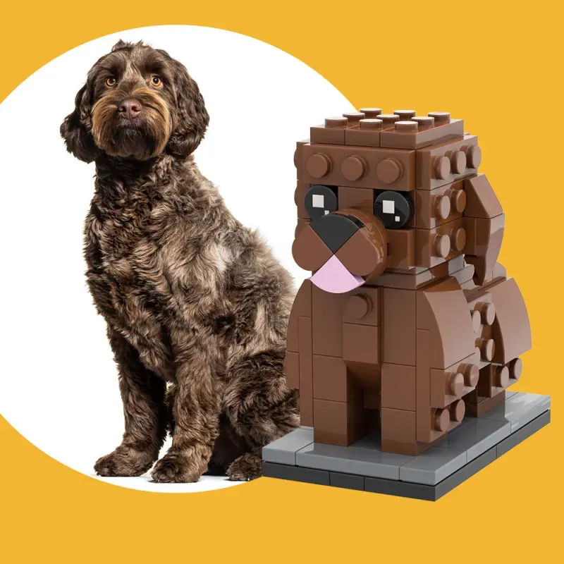 Ganzkörper-Custom Deutscher Kurzhaar-Vorstehhund, Foto Custom Brick Figuren Kleiner Partikelblock Brick