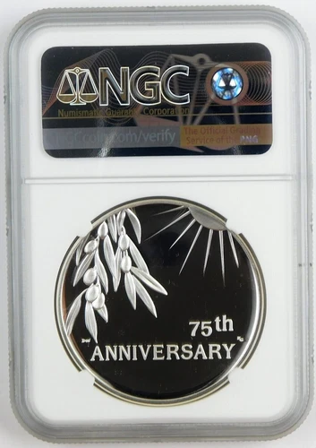 2020 P End of World War 2, II 75th Anniversary 1oz Silver Medal Eagle NGC PF70 - Picture 2 of 2