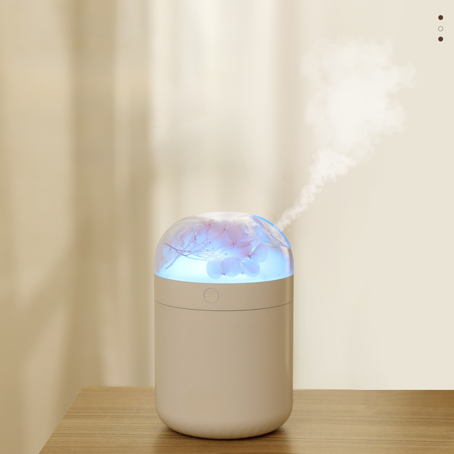 Humidificateur à fleurs éternelles, pour chambre à coucher, maison, bureau, petit Mini, lumière d'am