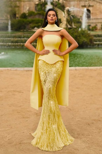 Strapless Sleeveless Long Mermaid Formal Dress With Appliques