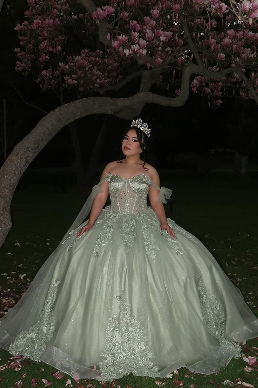 Off the Shoulder Grey Green Sparkly Tulle Quinceanera Ball Gown with Applique