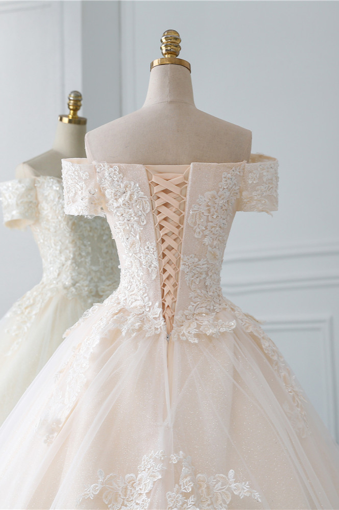 Gorgeous Off-the-Shoulder Tulle Princess Long Wedding Dress with Appliques Lace