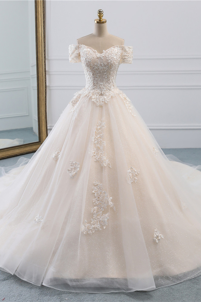 Gorgeous Off-the-Shoulder Tulle Princess Long Wedding Dress with Appliques Lace