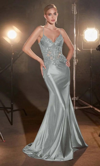 Spaghetti Strap Sleeveless Long Mermaid Formal Dress With Appliques