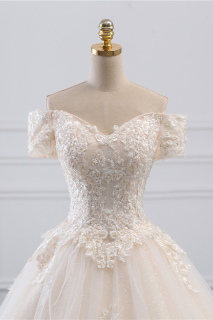 Gorgeous Off-the-Shoulder Tulle Princess Long Wedding Dress with Appliques Lace