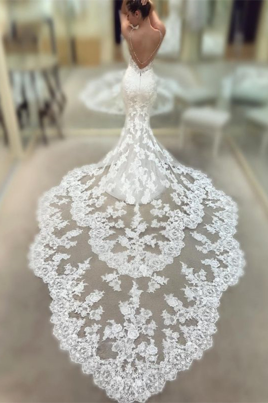 Spaghetti-Straps Mermaid Backless V-Neck Long Wedding Dress with Lace