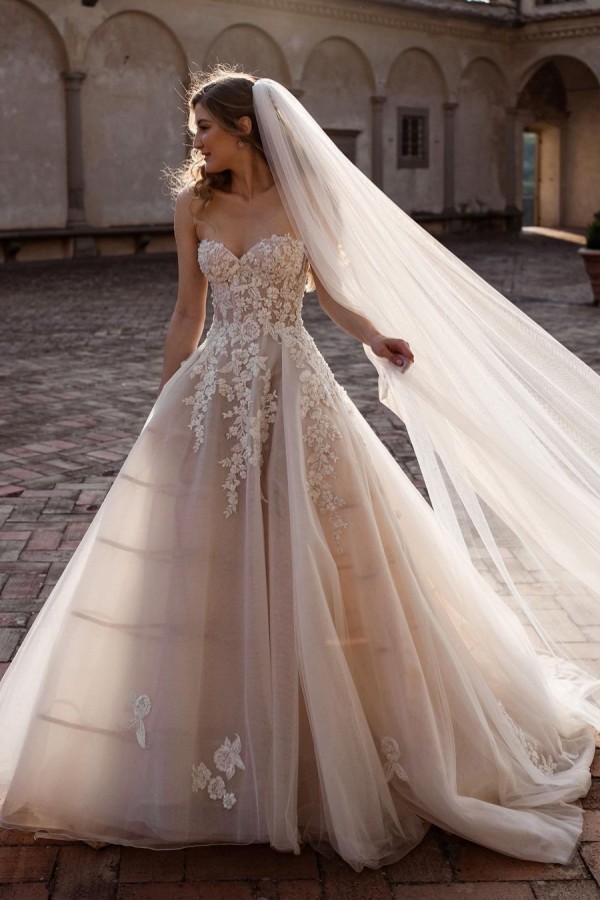 Amazing Backless Train A-Line Sweetheart Wedding Dress with Tulle Floral Lace