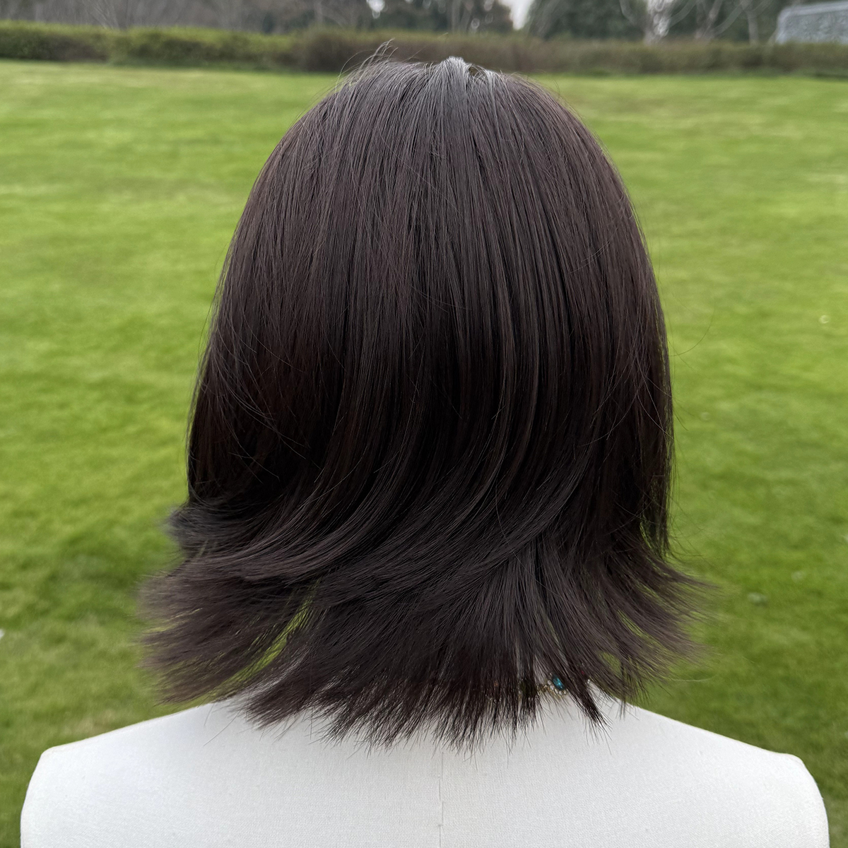 SMILCO/8Inch  Hybird Lace Front Short Straight Synthetic Wig/SM1684