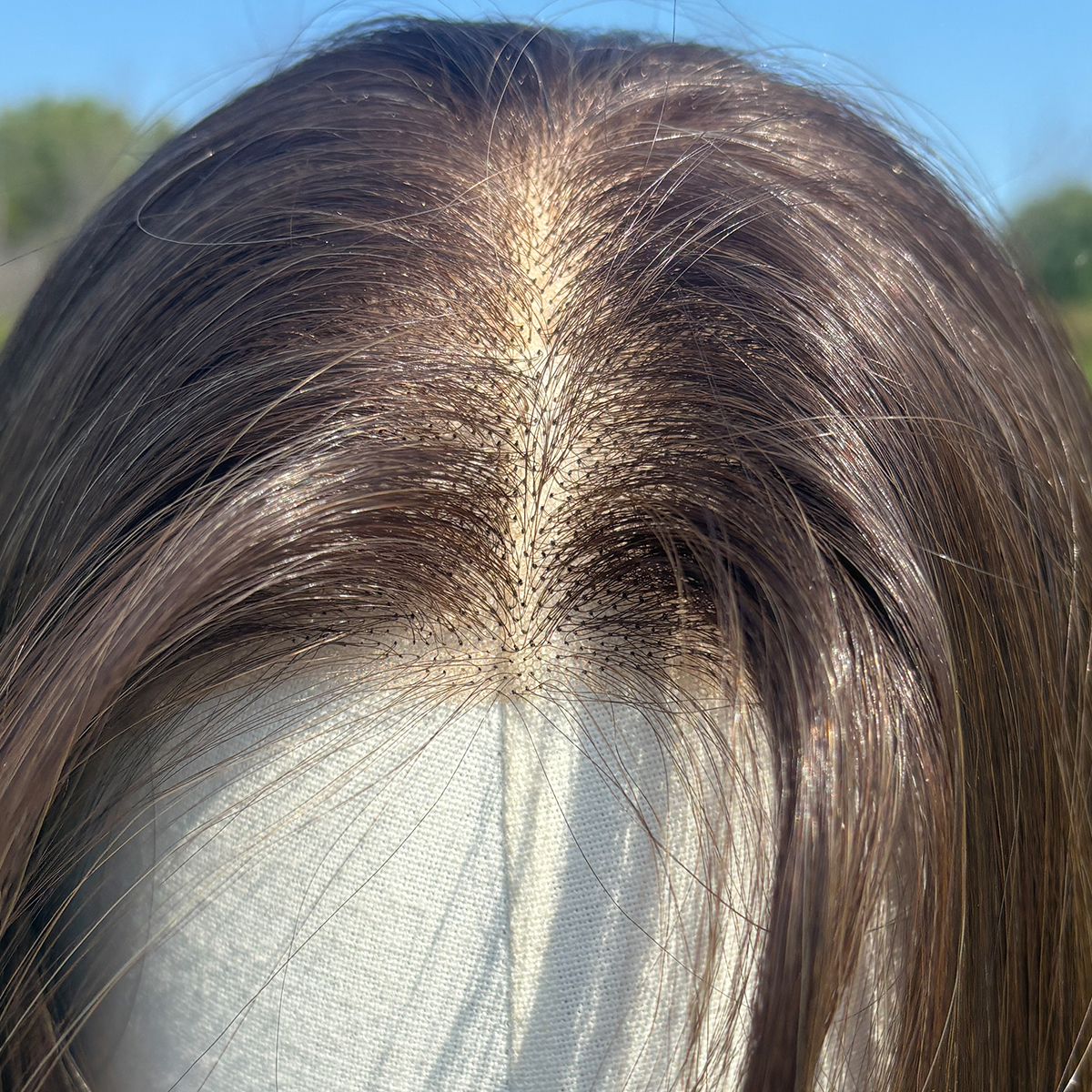 SMILCO/26Inch Brown Low Density/Pre Cut/13*6 Free PartLong Curly Layer Cutted/Glueless/Natural Hairline/ 100%Futura Fiber/Synthetic Lace Front Wig/SM9411B