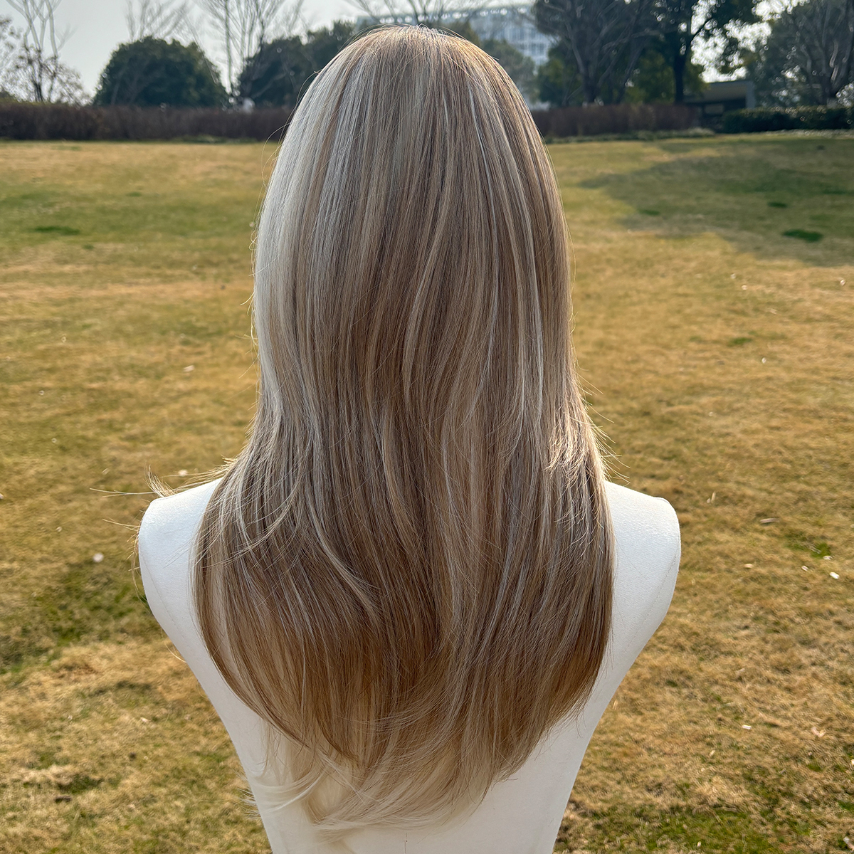 SMILCO/22Inch Small Lace Ombre And Highlight Brown WithBlonde Synthetic Wig/SM1686