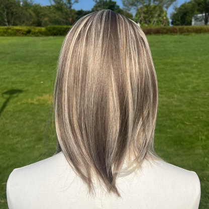 SMILCO/14Inch Highlight Brown With Blonde Short Straight With Bangs Synthetic Wig/SM164