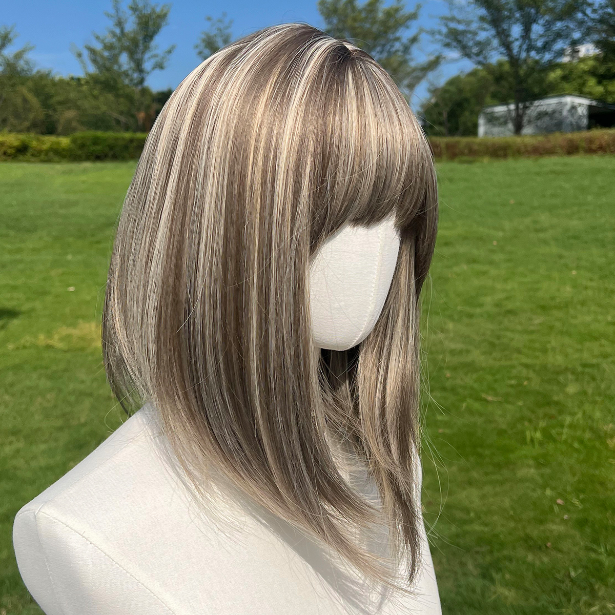 SMILCO/14Inch Highlight Brown With Blonde Short Straight With Bangs Synthetic Wig/SM164