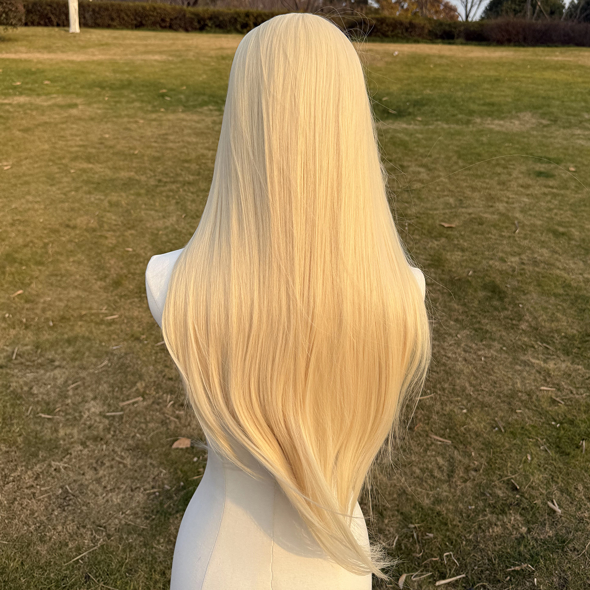 SMILCO/30Inch Blonde 13*4 Lace Front Long Straight Synthetic Wig/SM9885B