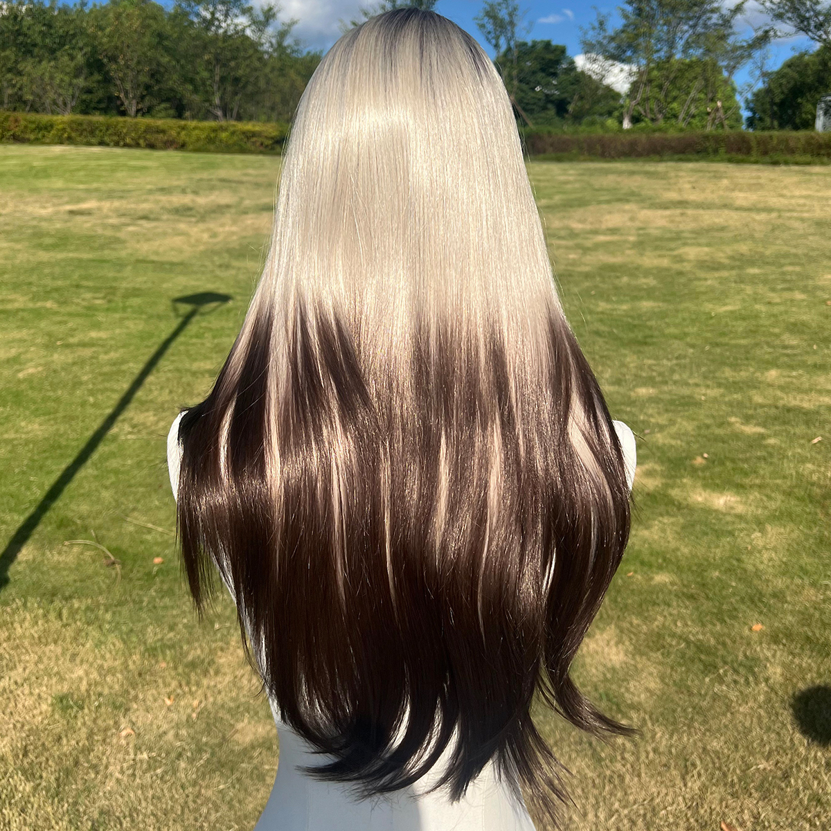 SMILCO/24Inch Ombre Brown Ash Blonde With Black Tail Lace Front Long Straight Wig/SM9217/SM9217B
