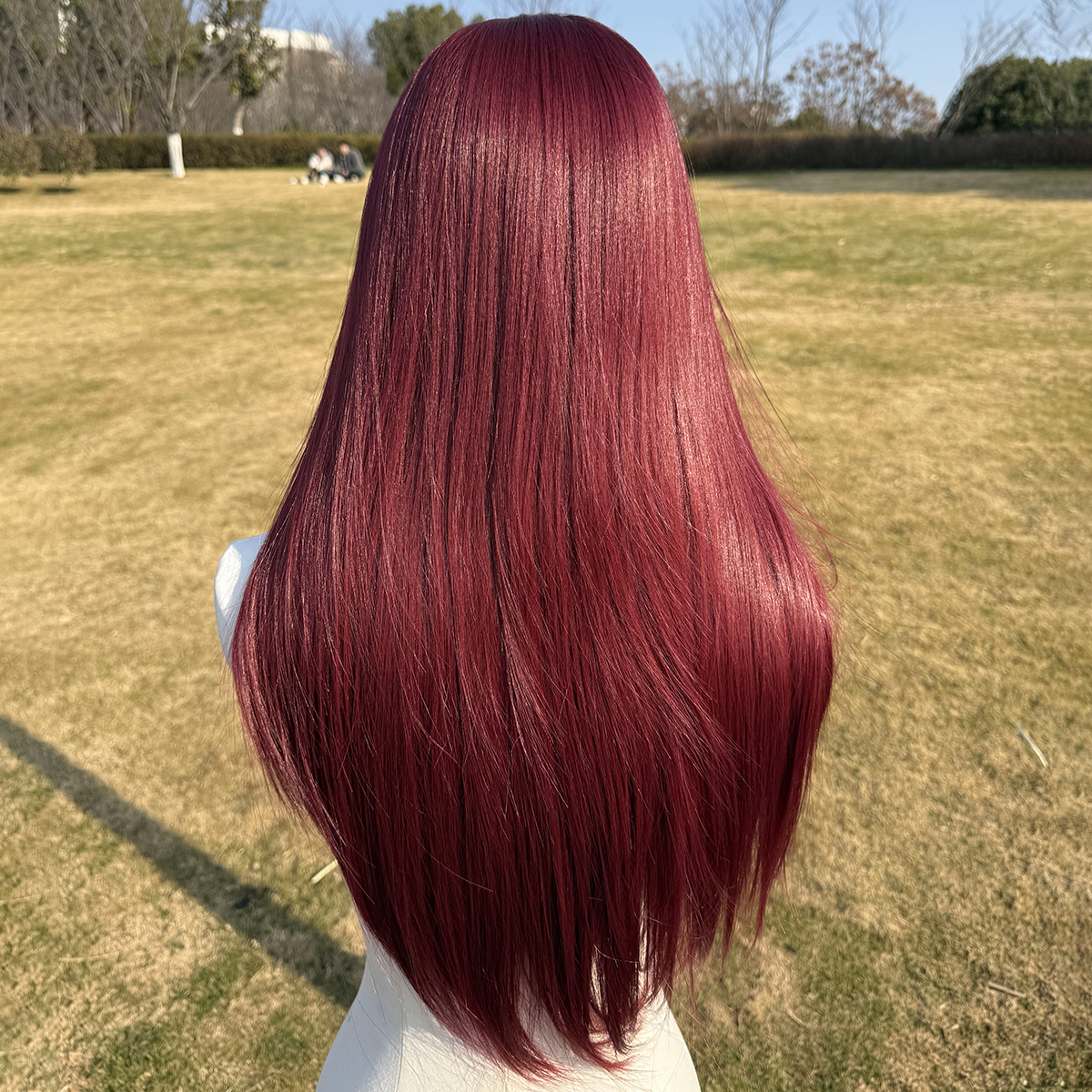 SMILCO/26Inch Red Wine 13*4 Lace Front Long Straight Synthetic Wig/SM9842