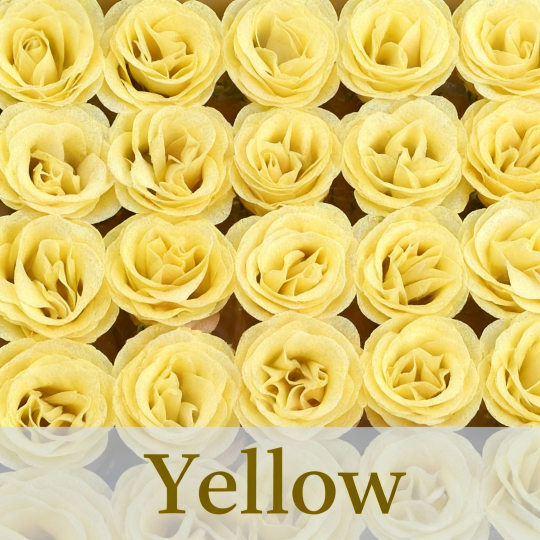 Glitter Rose Bouquet Couple Glitter Everlasting Rose Bouquet (Never Wither)