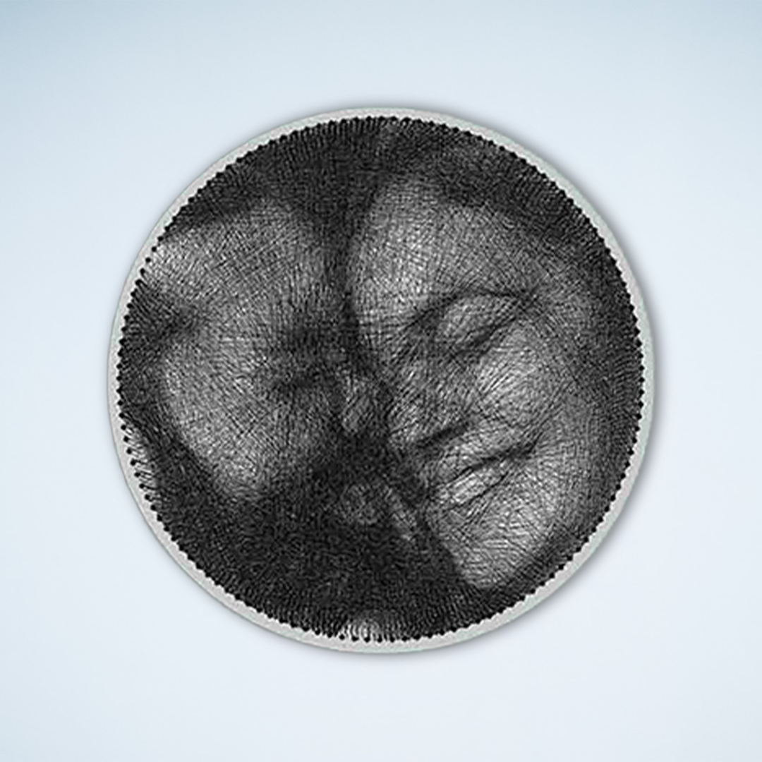 Symphony of Strings: Capturing the Soul in Thread