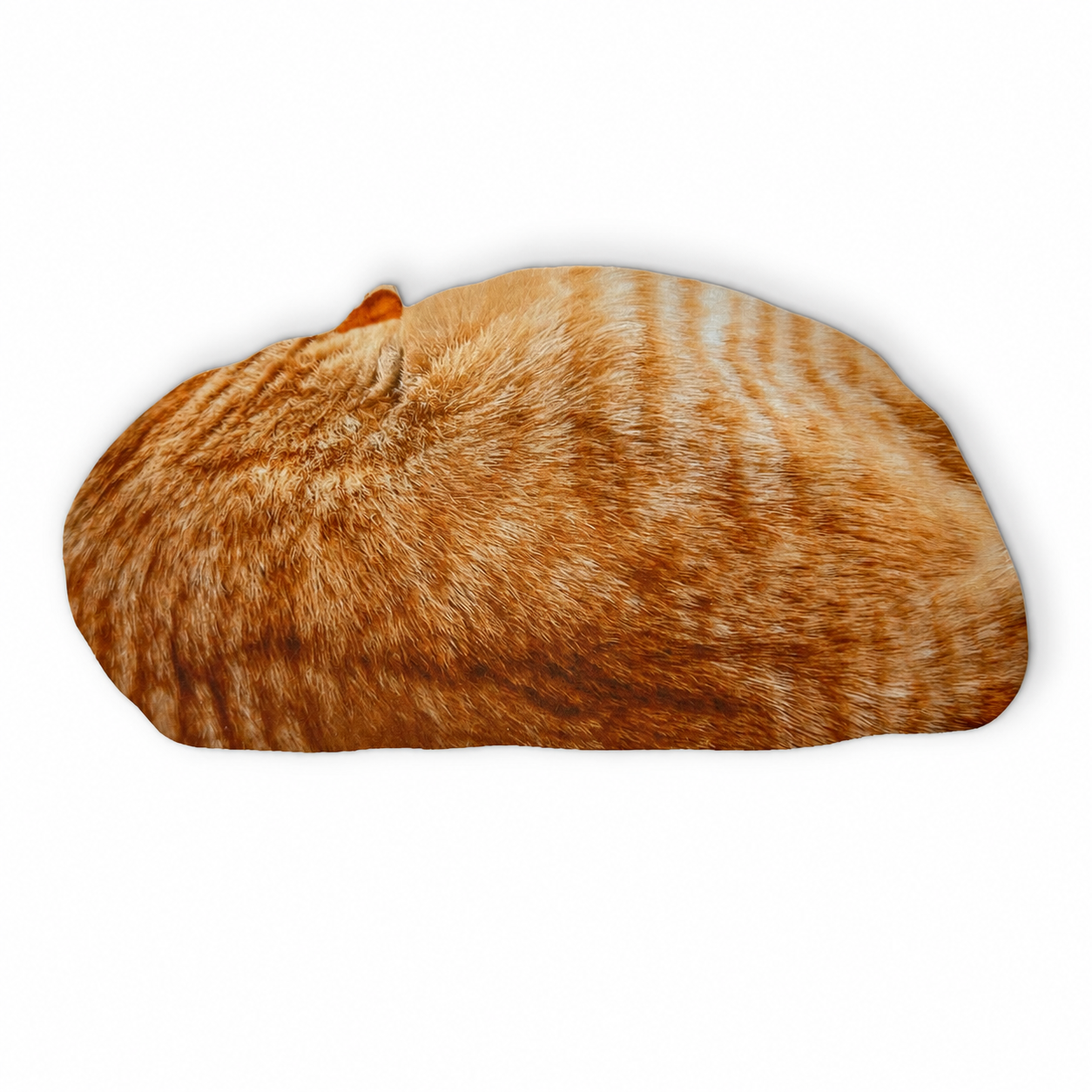 Napping Ginger Cat Microfiber Cleaning Cloth