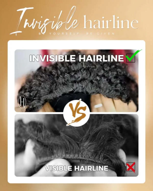 HD transparent Coily Shake N Go Full Wig by mysite with curly black hair and natural-looking scalp, no bangs, styled for a full look.