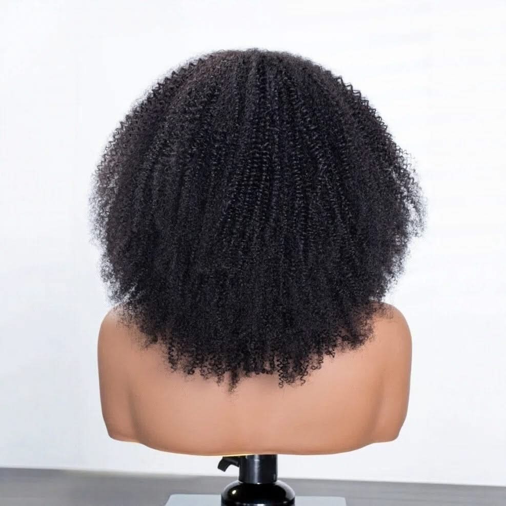 HD transparent Coily Shake N Go full wig by mysite, showcasing a natural coily hairstyle without bangs on a head display.