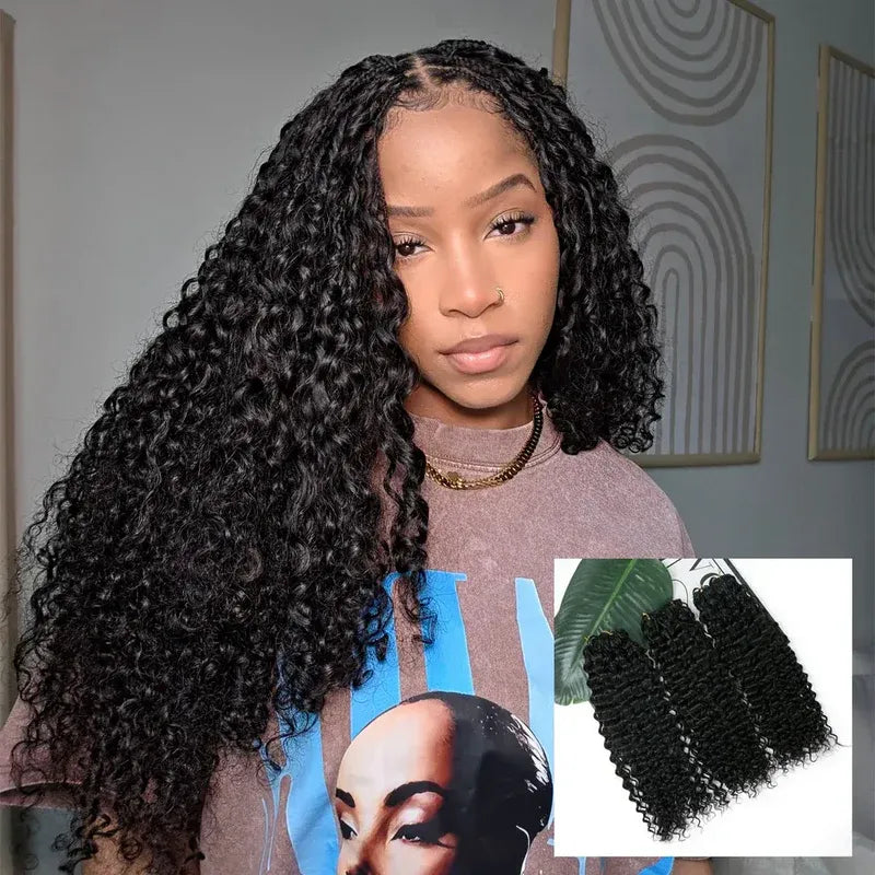 Water Wave Crochet Hair1.0