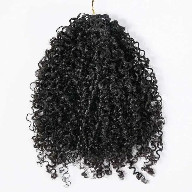 onimehair Kinky Curly Crochet Hair 2.0