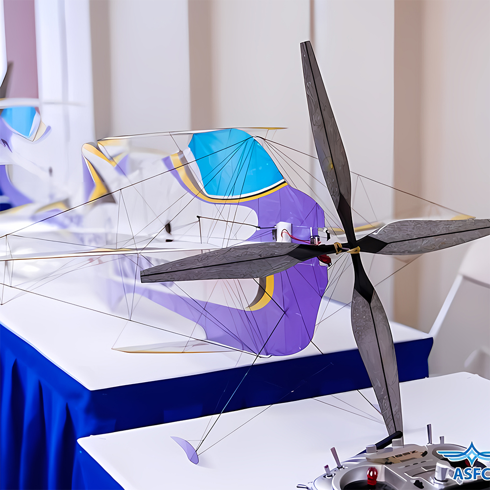 AM Coaxial(coaxial motor+AM06A ESC+ 17.5 Props(2pcs) thrust system(1S) with 17.5 inch props For F3P