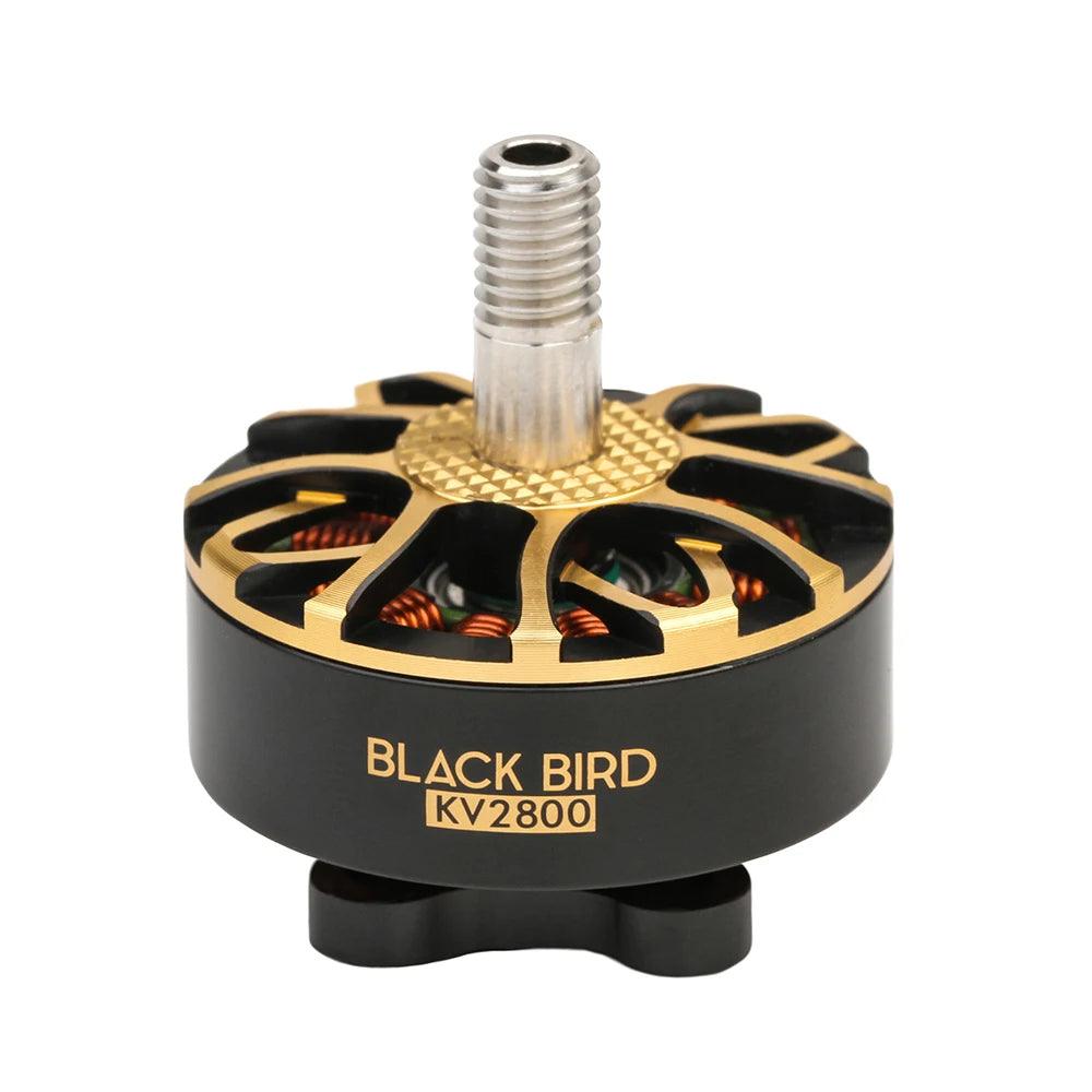 TMOTOR BLACK BIRD 2207 V2 KV2800 FPV Motor - T-MOTOR