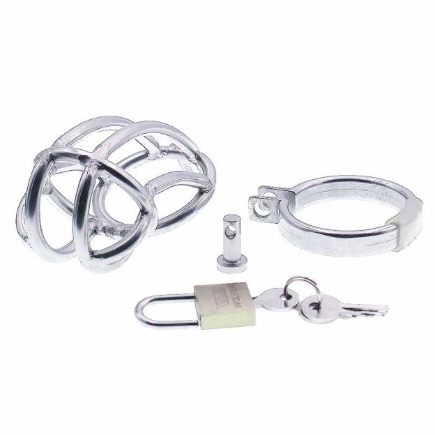 Imprisoned Chastity Cage -WeLovePlugs