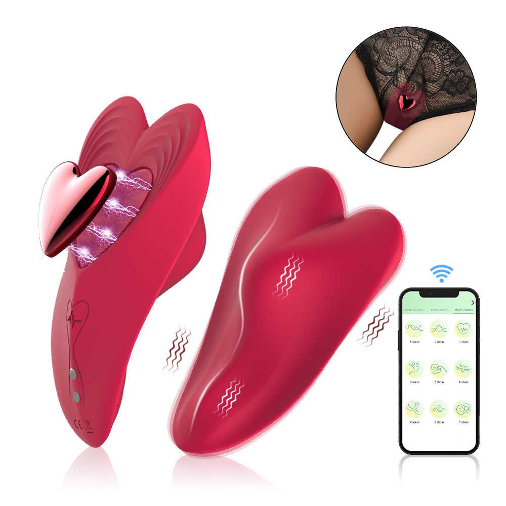 LovePulse Magnetic Panty Vibrator
