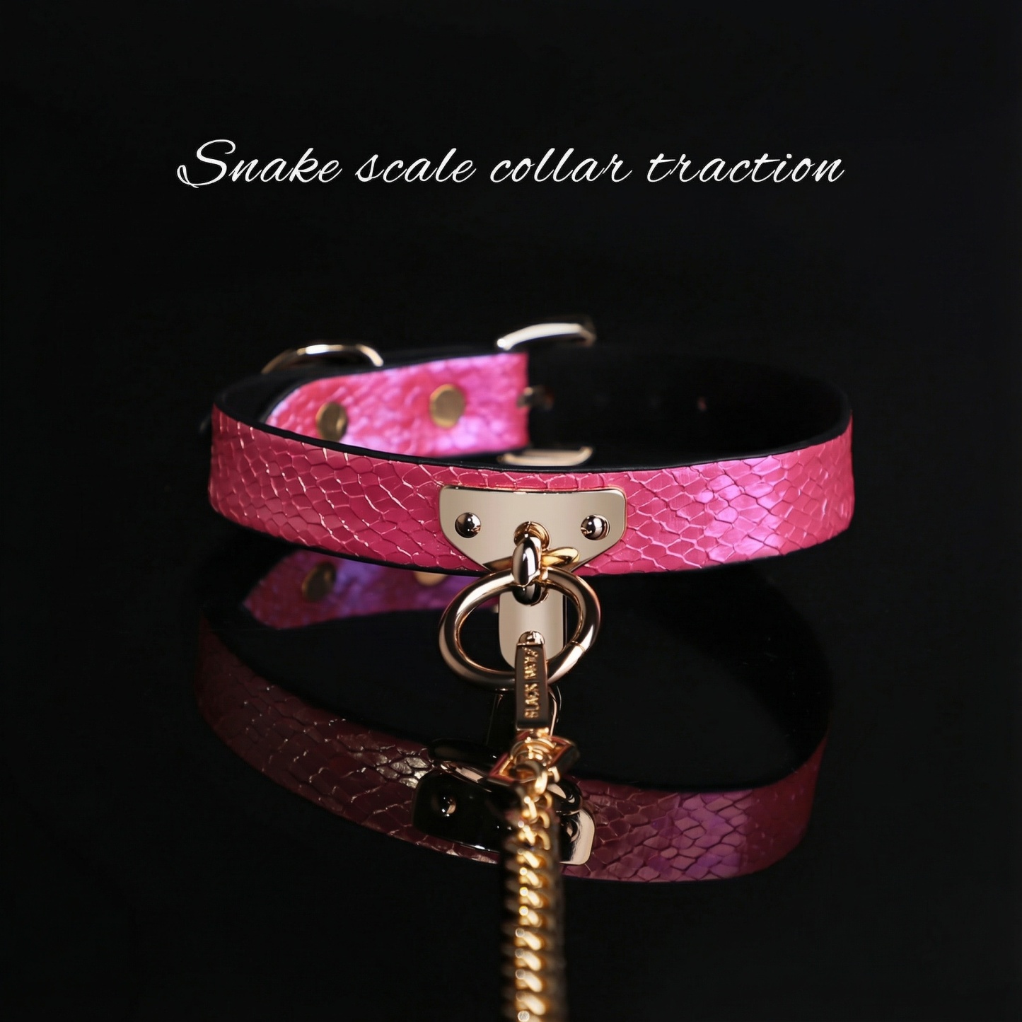 Snake Skin Texture Collar & Leash Set - image 5