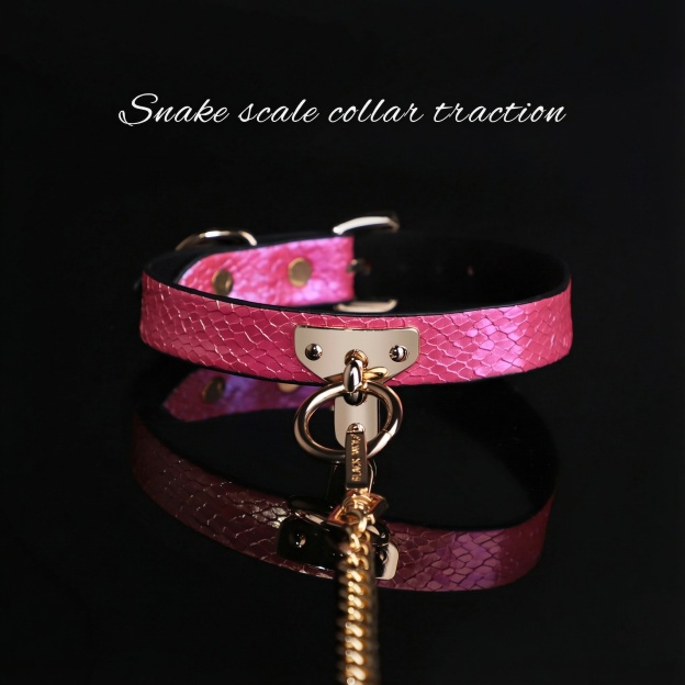 Snake Skin Texture Collar & Leash Set - image 5
