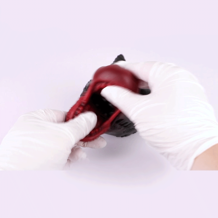 Bad Dragon Oral Fantasy BlowJob Masturbator Toy-WeLovePlugs