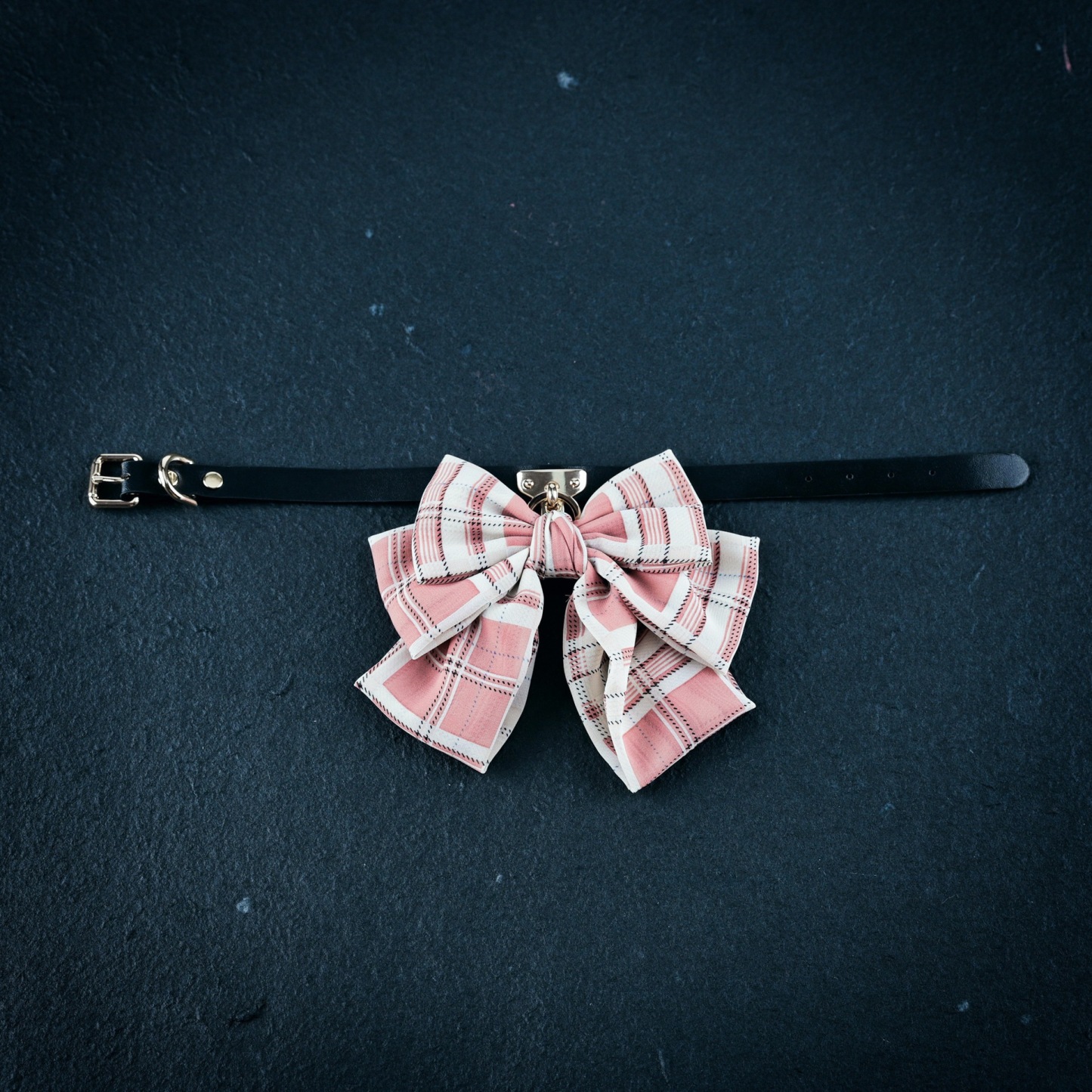 Collar & Lead Set