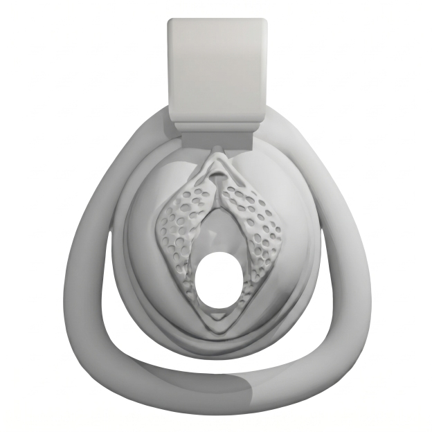 3D Printed Sissy Chastity Cage - L - image 4