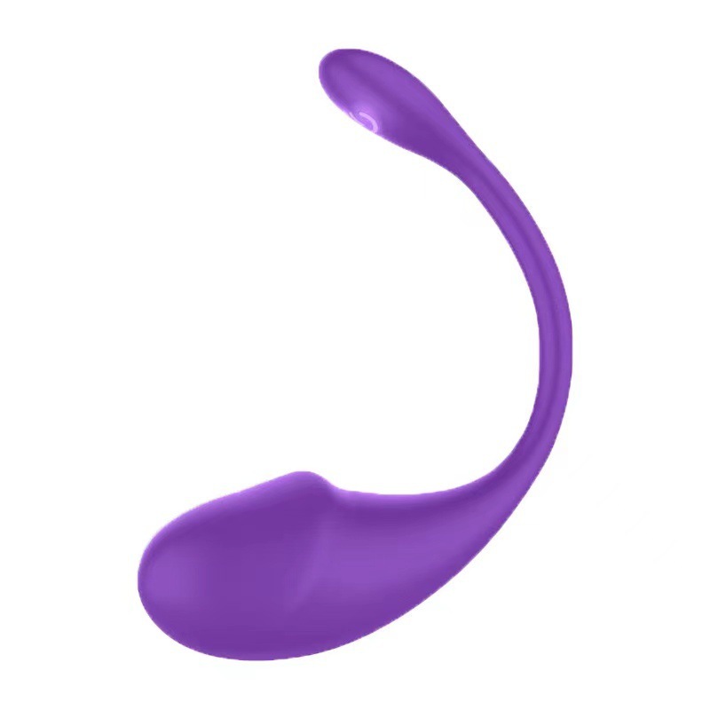 APP Remote Control G-spot Panty Vibrator 10 Vibrations