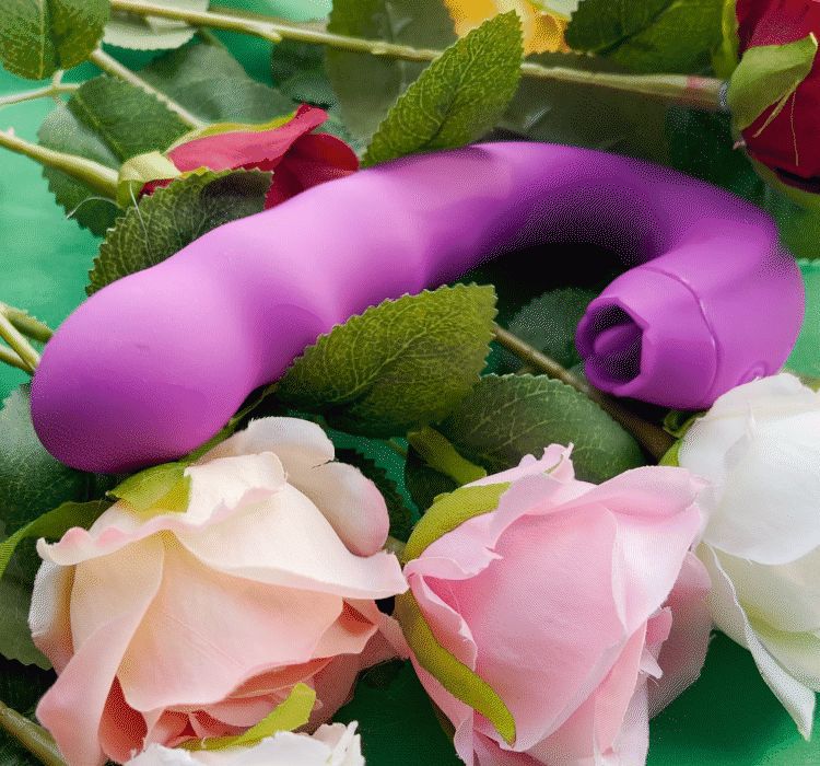 G Spot Vibrator -WeLovePlugs