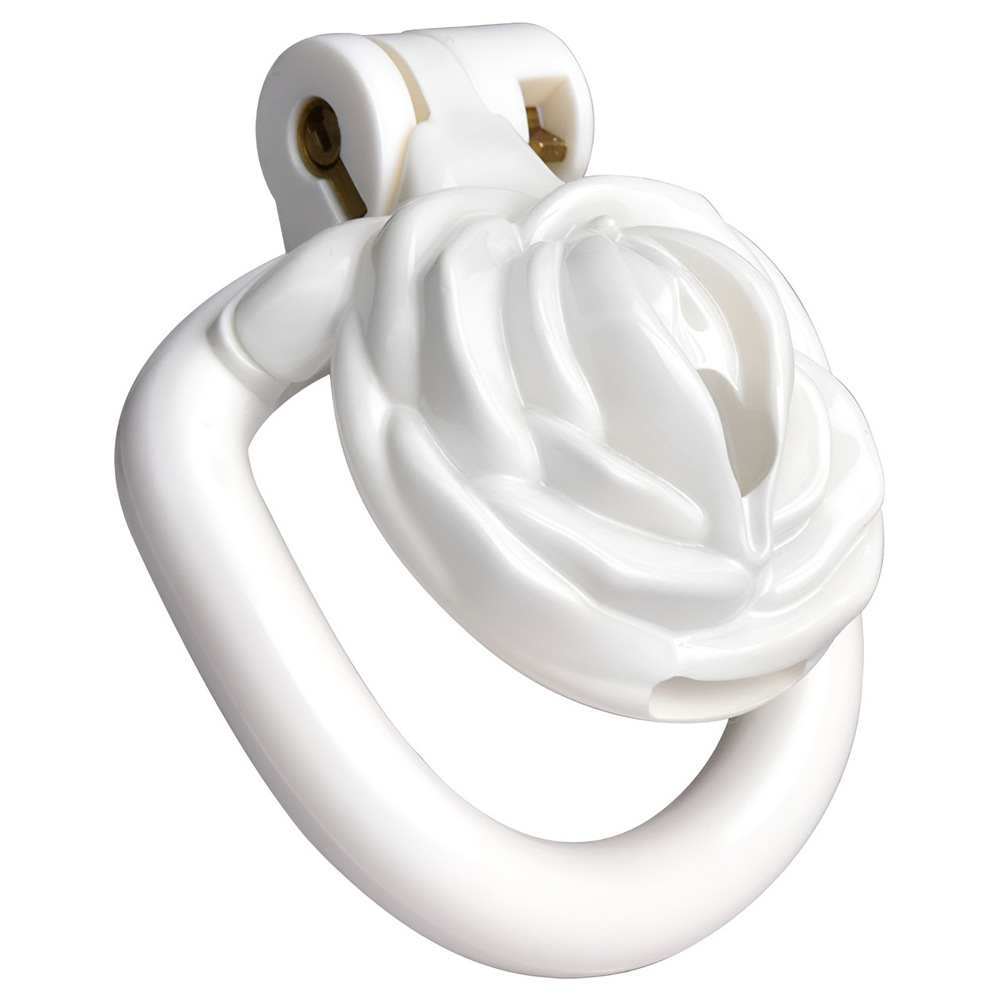 Sissy Chastity Cage with 4 Rings – Lightweight Resin Locking Device with 2 Keys, Invisible Wear for Long-Term Use