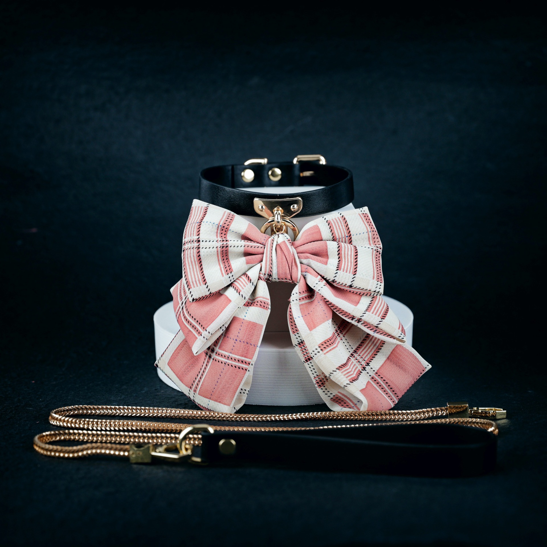 Collar & Lead Set