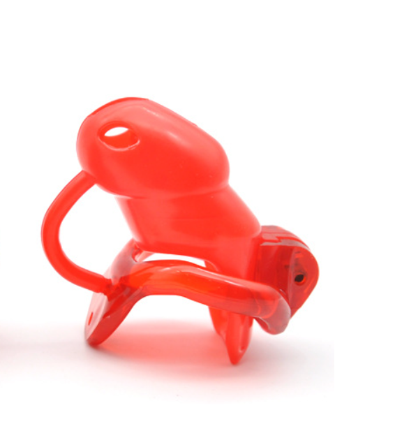 Chastity Cage with Inner Spikes -WeLovePlugs