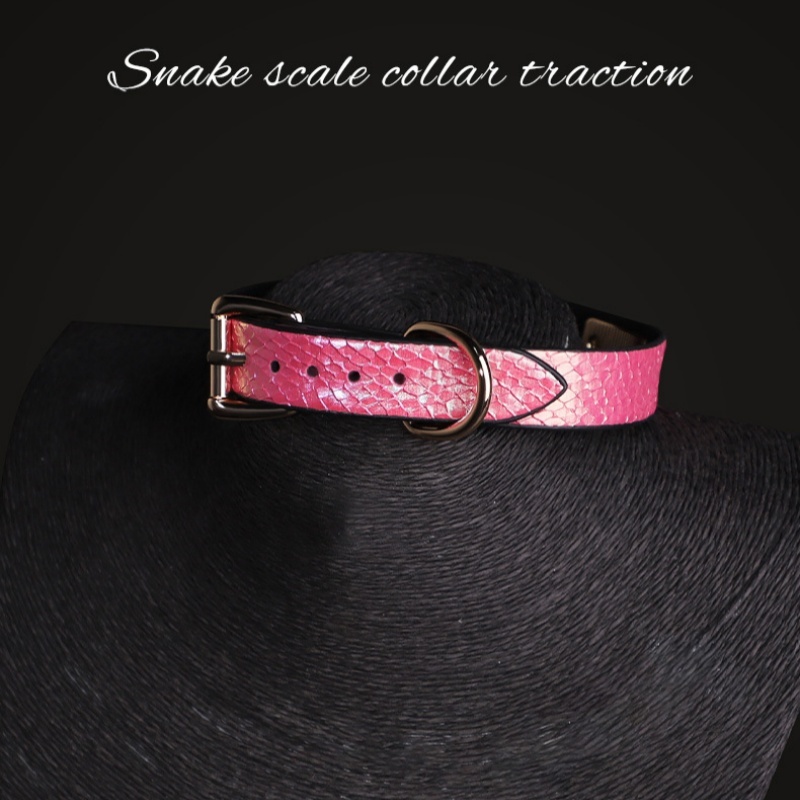 Snake Skin Texture Collar & Leash Set - image 4