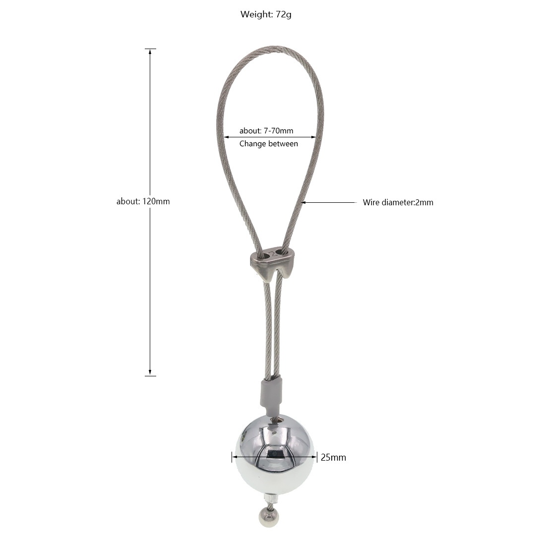 BDSM CBT Penis Training Weights -WeLovePlugs