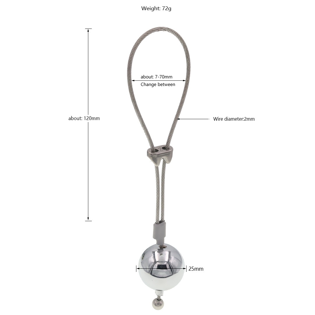 BDSM CBT Penis Training Weights -WeLovePlugs