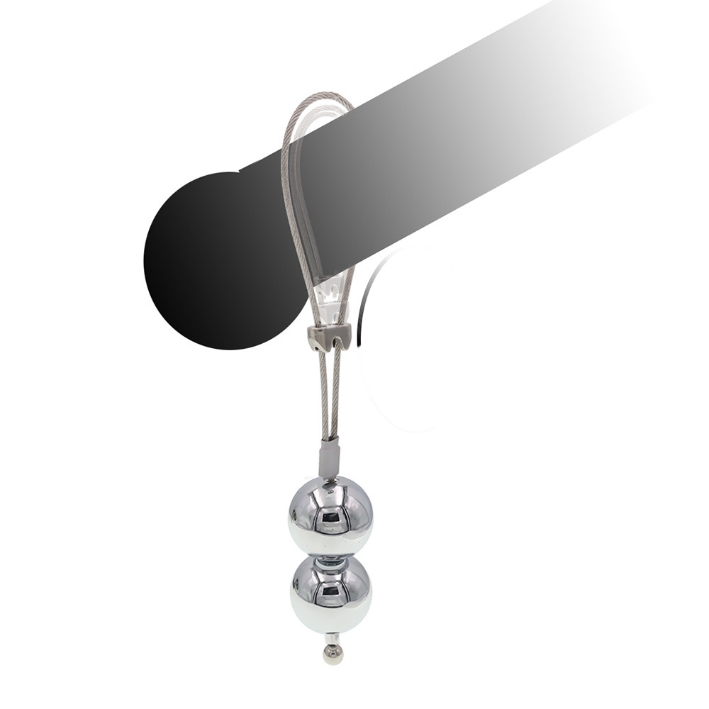 BDSM CBT Penis Training Weights -WeLovePlugs
