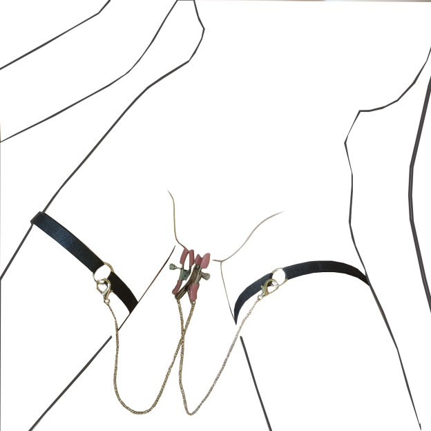 ScrewLock Precision Nipple Clamps Clip -WeLovePlugs