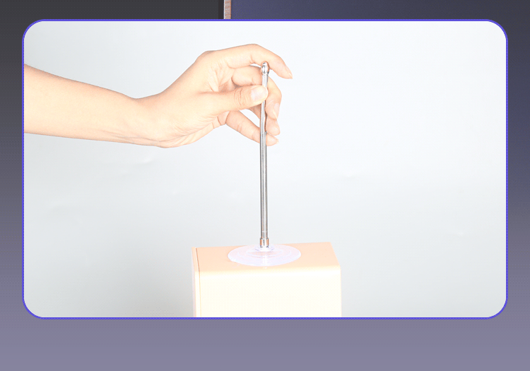 Urethral Sound with Suction Cup Base -WeLovePlugs