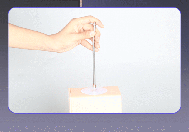 Urethral Sound with Suction Cup Base -WeLovePlugs