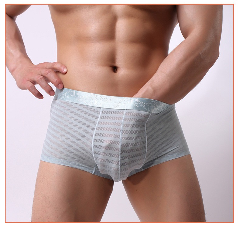 Stripe Mesh Boxer Shorts Black -WeLovePlugs