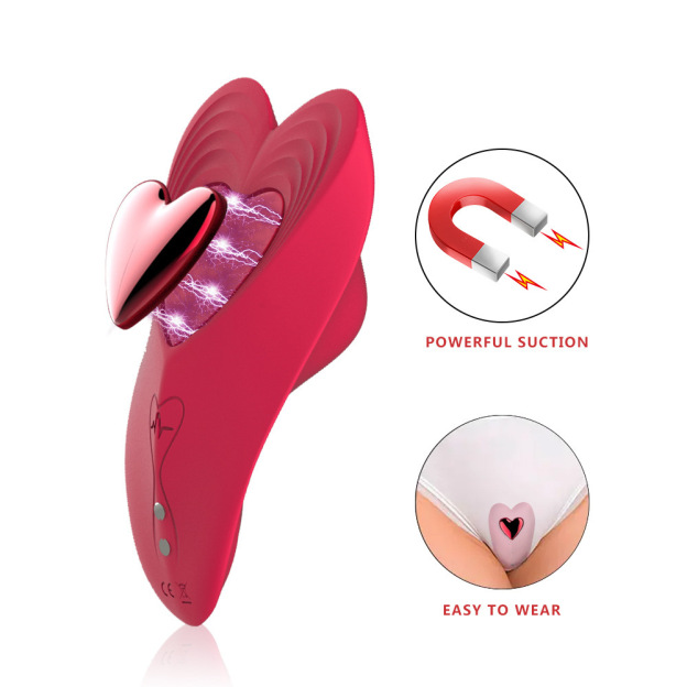 LovePulse Magnetic Panty Vibrator